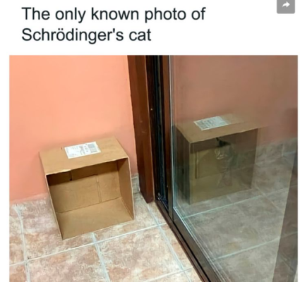 1746429990236.png