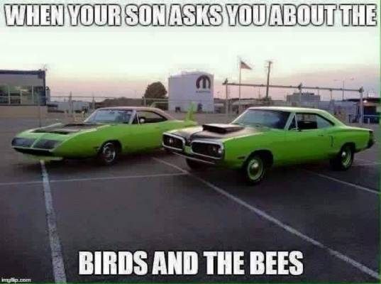 1746610211842.png