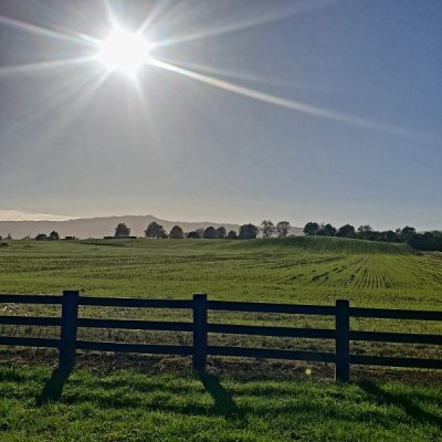 20250425_161133.jpg