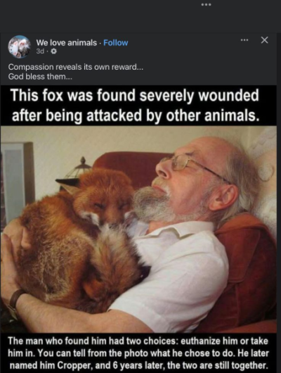 1746899657931.png