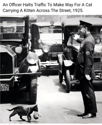 1747038750238.png