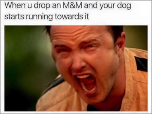 z55qai7bwhmz.jpg