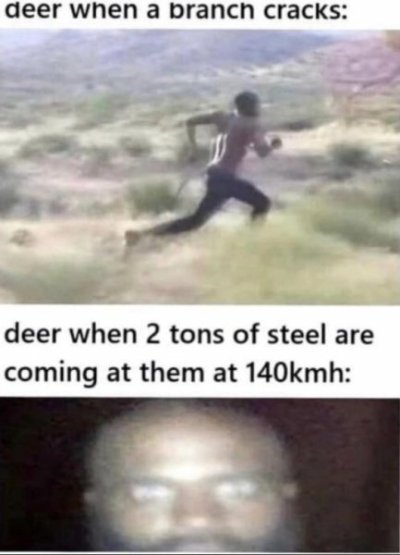 52a33ec0cbe9cd83a241b130ab7f4433.jpg