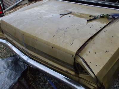 DSCF1426.jpg DSCF1426.jpg