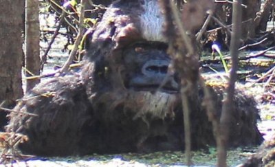 Bigfoot-Close-Up.jpg