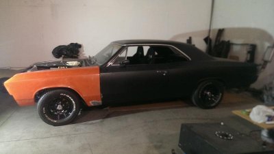 IMAG1864.jpg IMAG1864.jpg