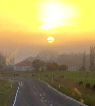 20250513_112358.jpg