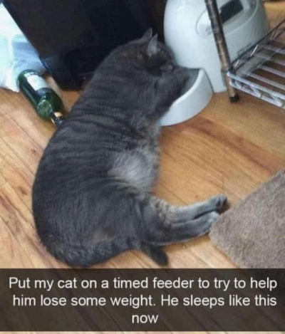 1747298619919.png