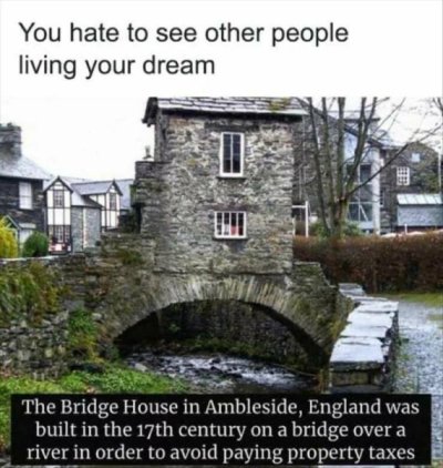 1747481461453.jpeg