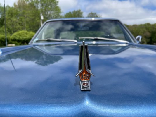 bonnet badge.jpg
