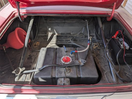 Trunk.jpg