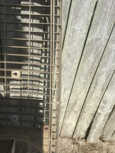 IMG_8579.jpeg