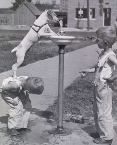 1938.jpg