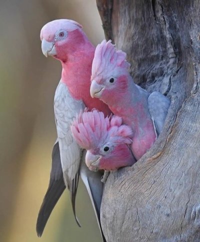 outstanding-nature-photos-reddit-20.jpg
