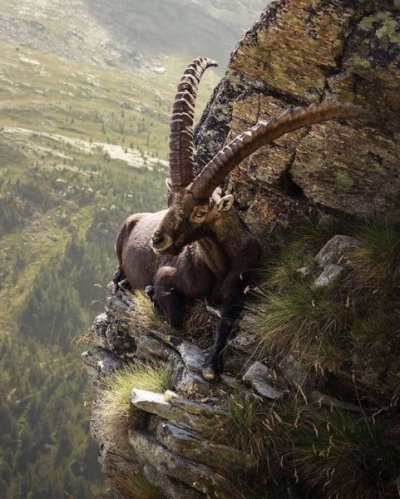 outstanding-nature-photos-reddit-13.jpg