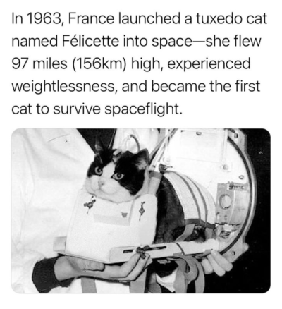 1748060846665.png