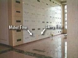 IMG_8017.jpeg