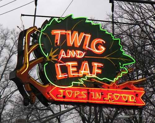Twig and Leaf.jpg