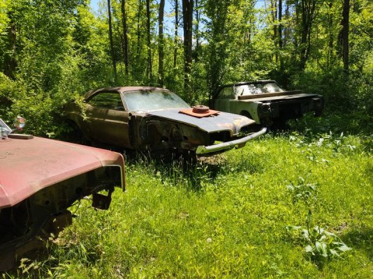 IMG_20250526_132658796_HDR.jpg