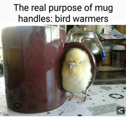 1748368688471.png