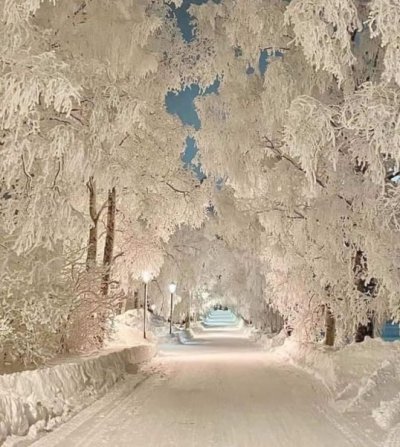 outstanding-nature-photos-reddit-14.jpg