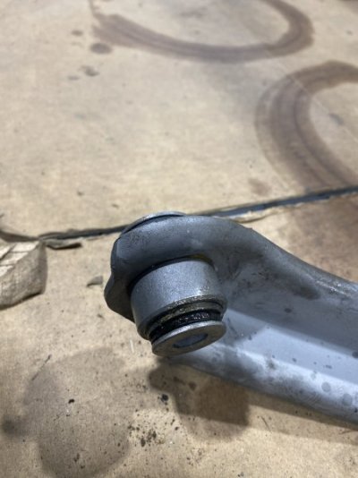 IMG_5815.jpeg