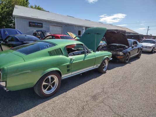 IMG_20250601_100346044_HDR.jpg
