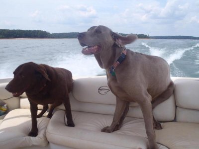 460276_4148165462960_1068175597_o.jpg 460276_4148165462960_1068175597_o.jpg