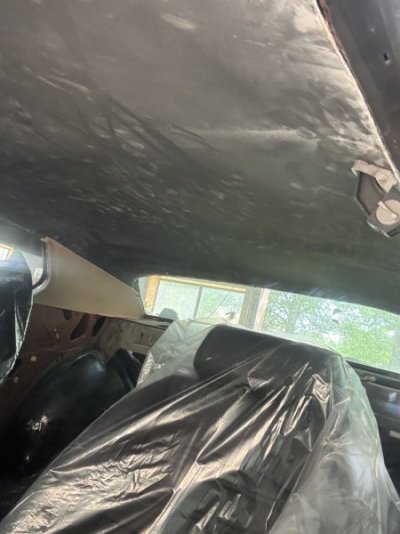 IMG_5601.jpeg