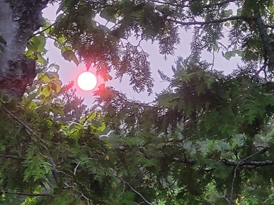 20250604_202343.jpg