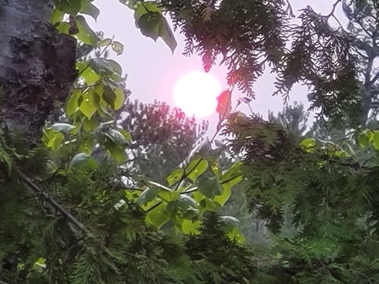 20250604_202822.jpg
