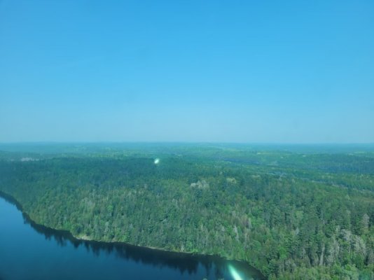 20250605_102931.jpg