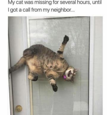 1749202380170.png