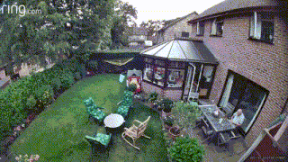 garden-explosion.gif