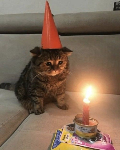 1749232523952.png