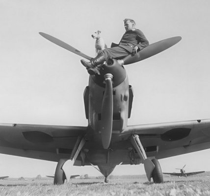 n3.jpg