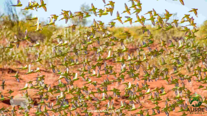 1749550209959.png