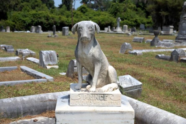 savannah-catholic-cemetery-prince-hagan-dog-pet-monument-photograph-copyright-brian-brown-vani...jpg