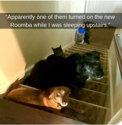 1749981917475.png