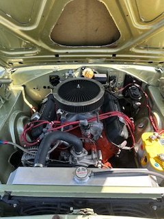 image11.jpeg
