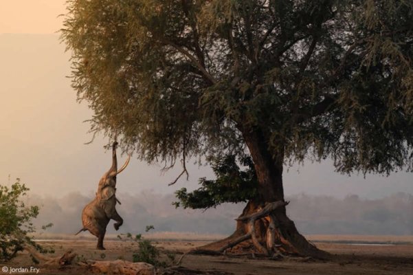 africa-geographic-photographer-2025-winners-08.jpg
