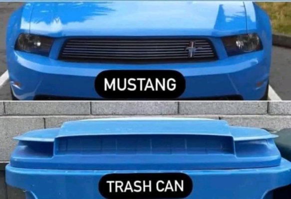 1742503804559.jpg