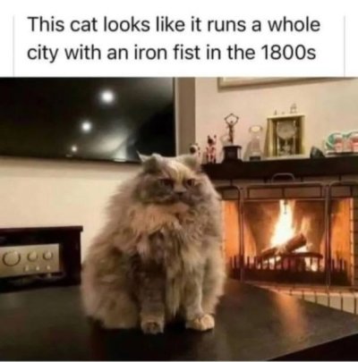 IMG_2771.jpeg