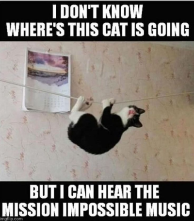 1750274666202.png