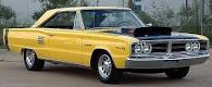 yellow coronet.jpg