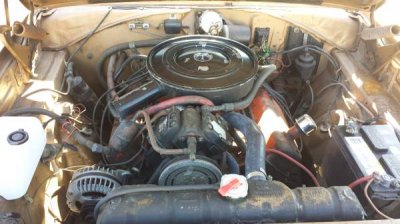 01717_herxCwzHBAZ_600x450.jpg 01717_herxCwzHBAZ_600x450.jpg