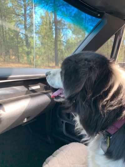 lenard ride.jpg lenard ride.jpg