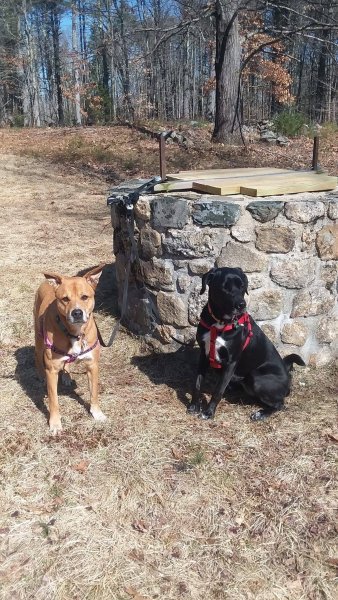 Rori and Jess.jpg
