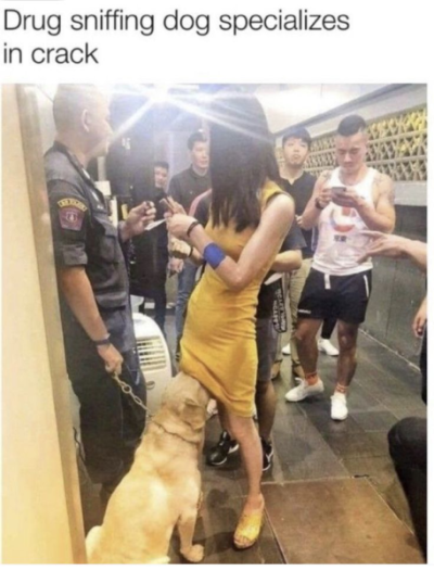 1750361563331.png