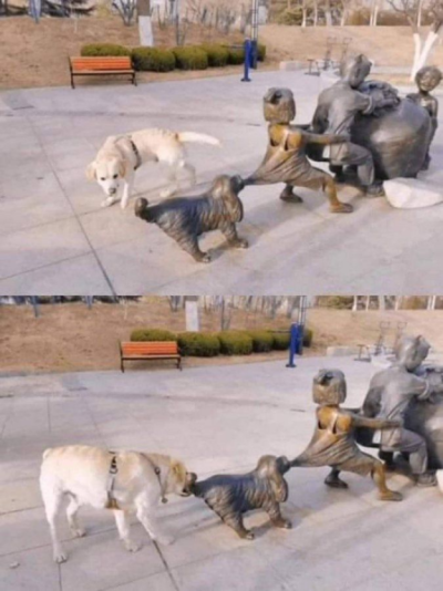 1750540101394.png